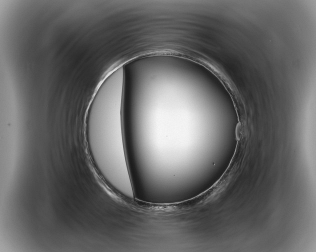 X0000087610858200704271059