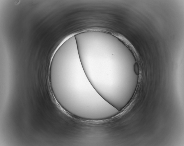 X0000087610860200704271059