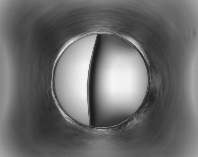 X0000087610861200704271059