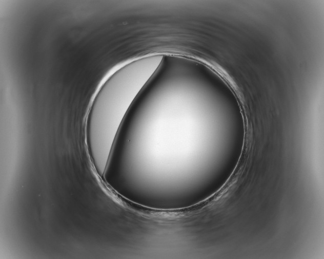 X0000087610862200704271059
