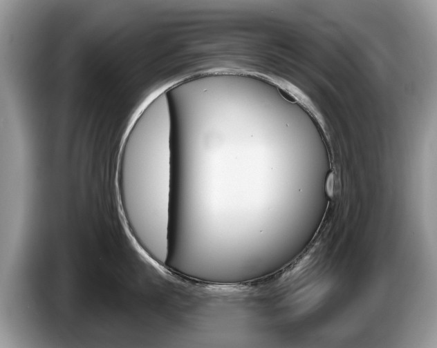 X0000087610863200704271059