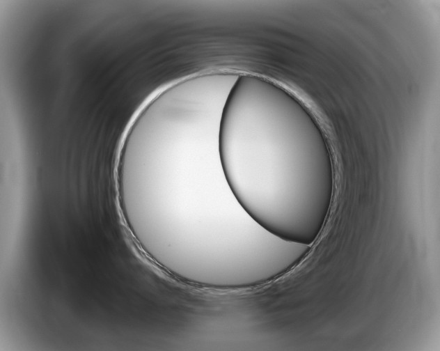 X0000087610864200704271100
