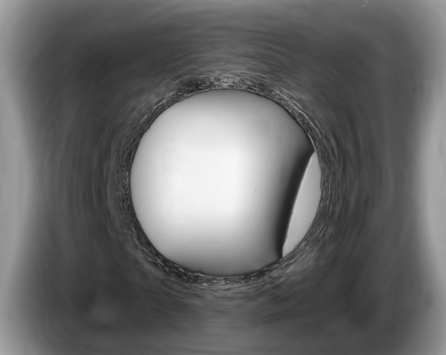 X0000087610865200704271059