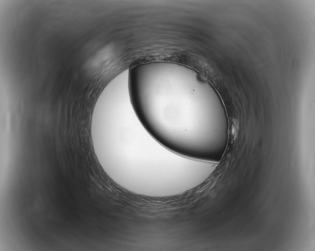 X0000087610867200704271059
