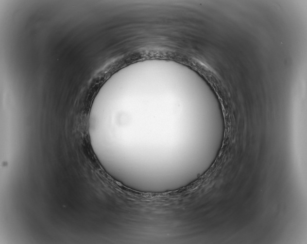 X0000087610870200704271059