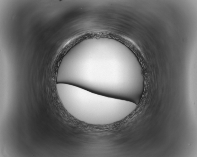 X0000087610871200704271059