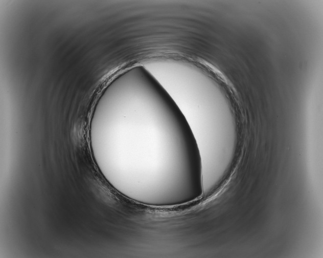 X0000087610873200704271059