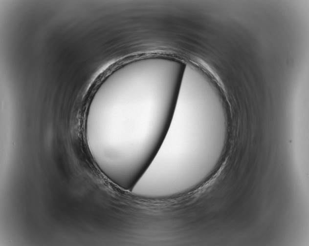 X0000087610875200704271059