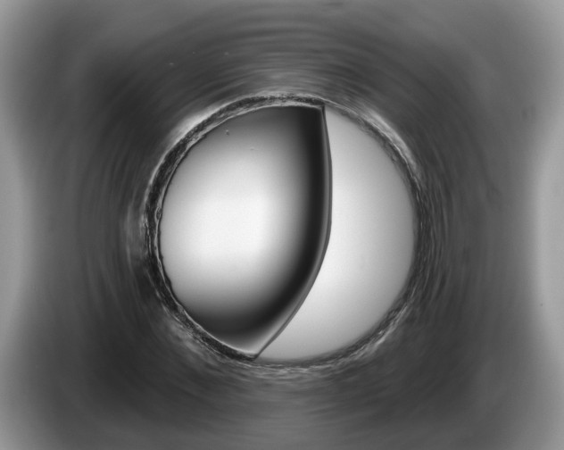 X0000087610876200704271059
