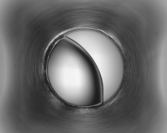 X0000087610880200704271059