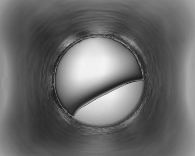 X0000087610881200704271059