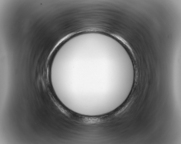 X0000087610886200704271059