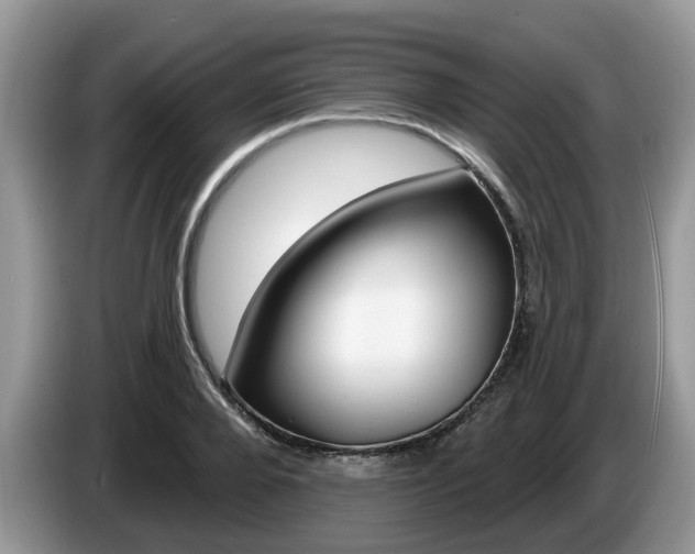 X0000087610888200704271059