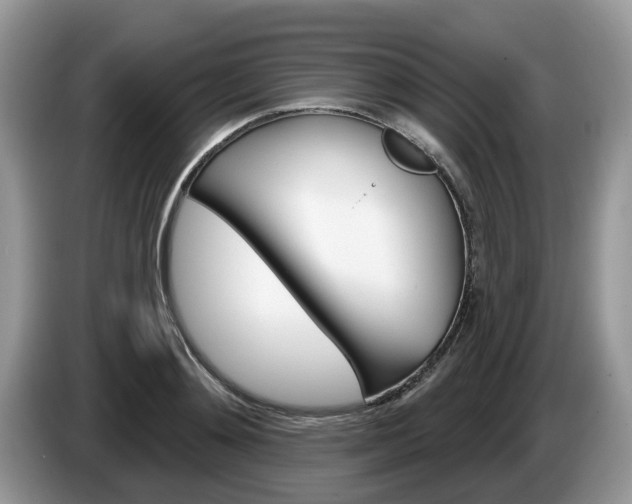 X0000087610892200704271059