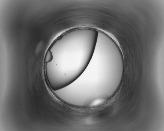 X0000087610895200704271059