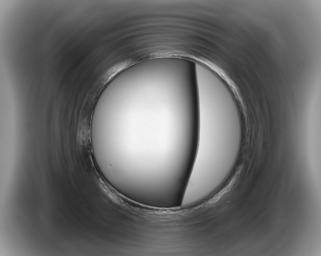 X0000087610897200704271059