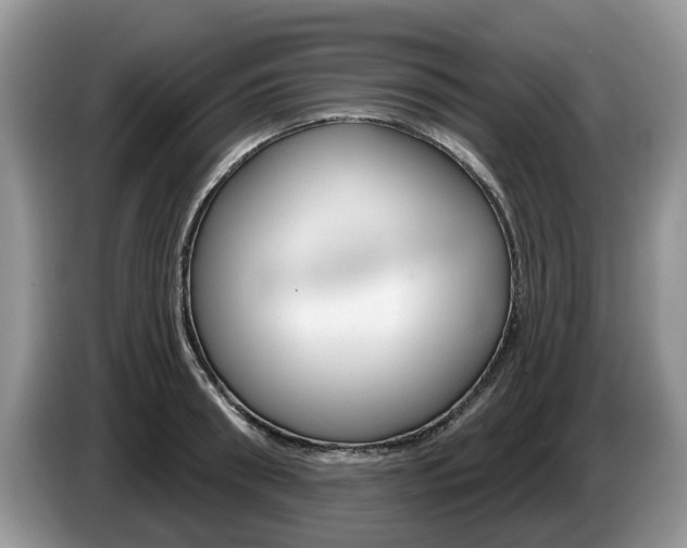 X0000087610898200704271059