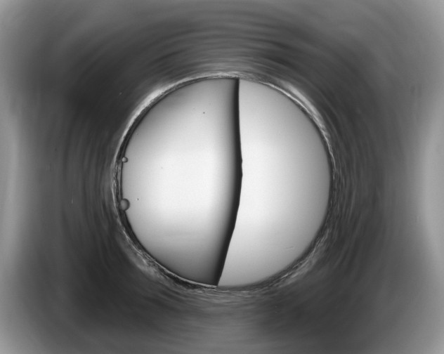 X0000087610899200704271059