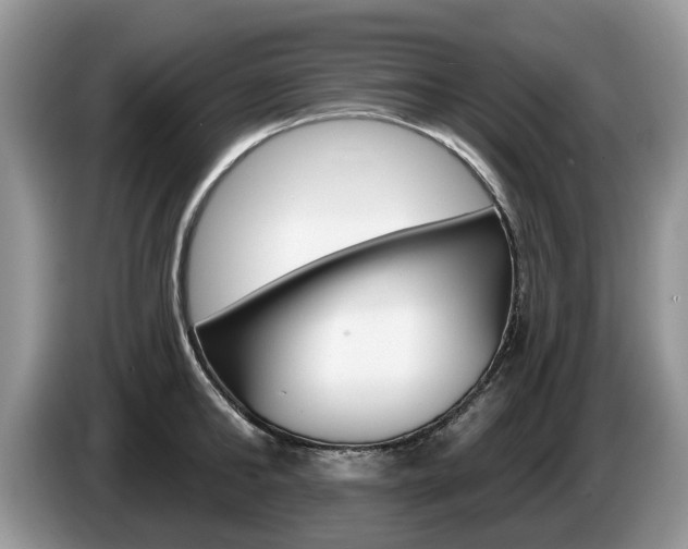 X0000087610902200704271059