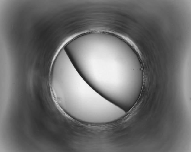X0000087610903200704271059