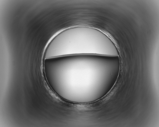 X0000087610904200704271058