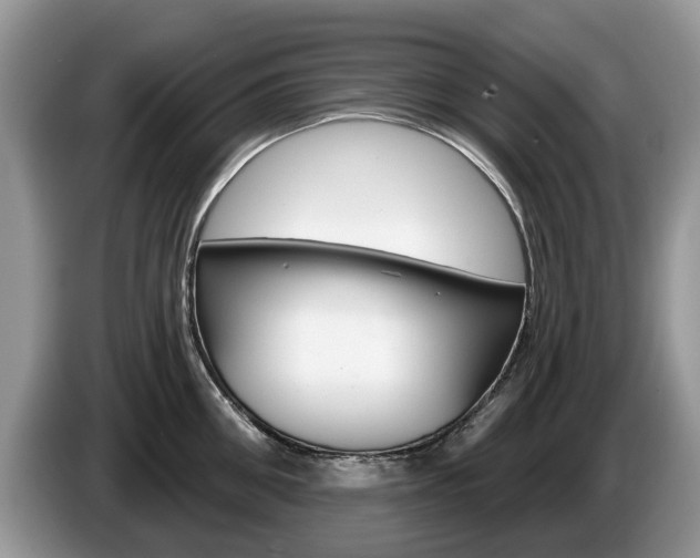 X0000087610906200704271058