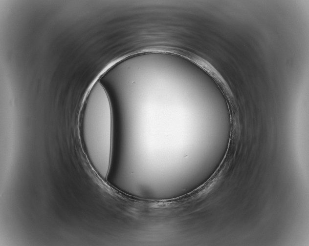 X0000087610908200704271058