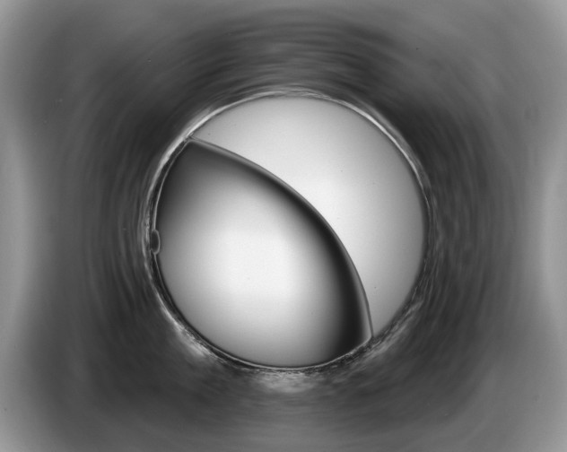 X0000087610909200704271058