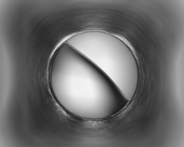 X0000087610910200704271058
