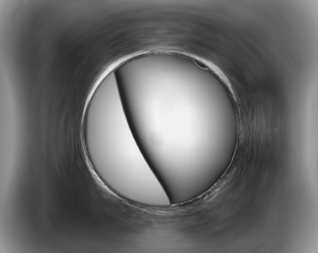 X0000087610911200704271058