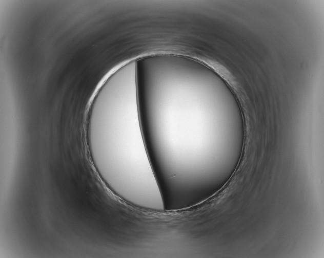 X0000087610912200704271058
