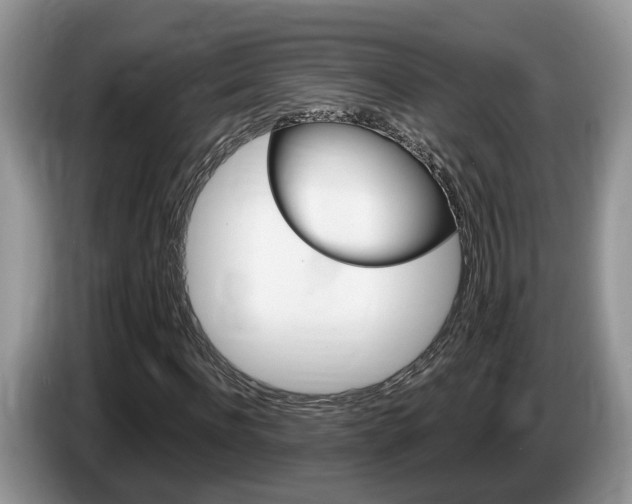 X0000087610916200704271058