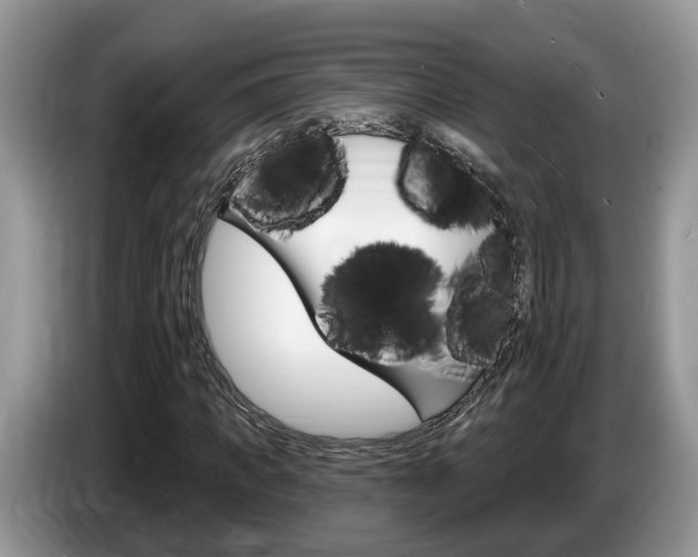 X0000087610917200704271058