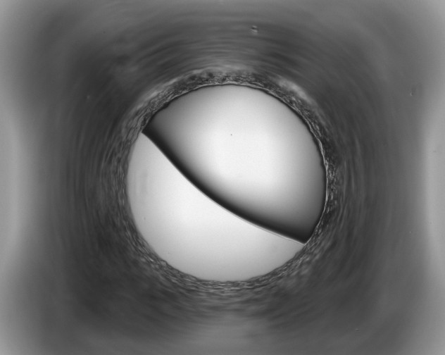 X0000087610919200704271058