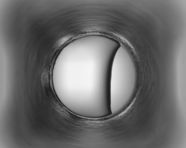 X0000087610921200704271058