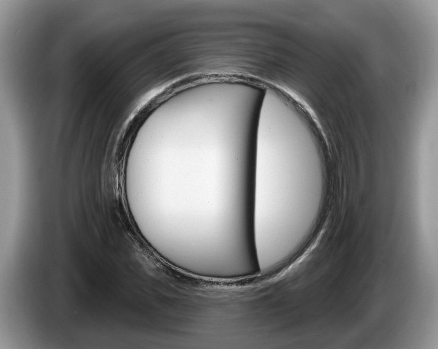 X0000087610925200704271058