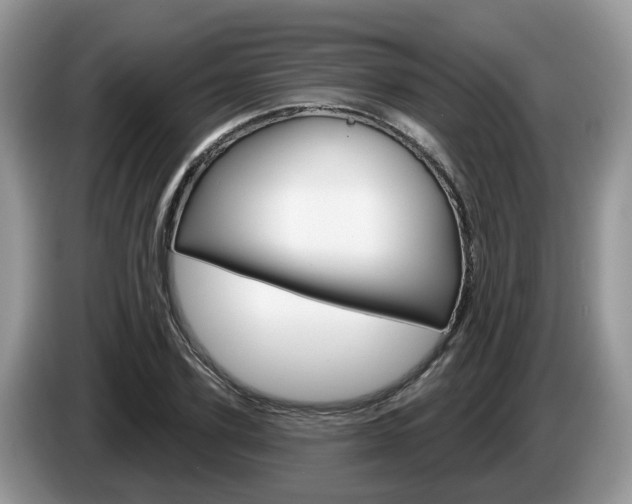 X0000087610931200704271058