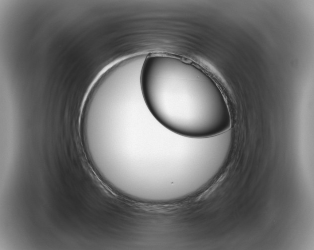 X0000087610932200704271058