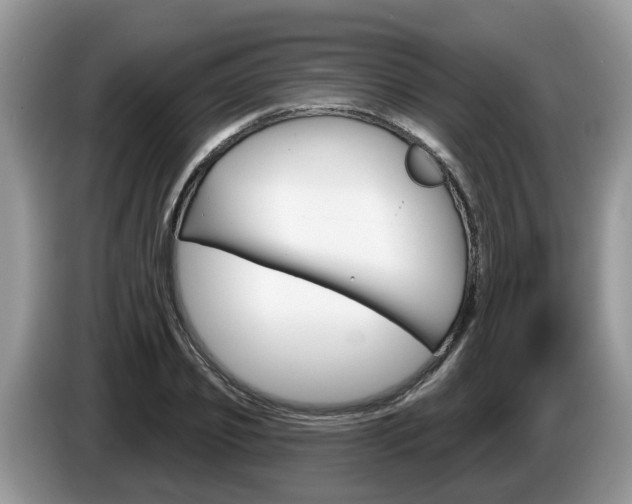 X0000087610933200704271058