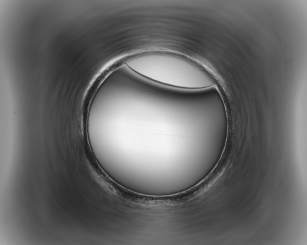 X0000087610934200704271058