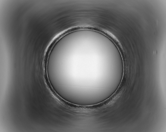 X0000087610935200704271058