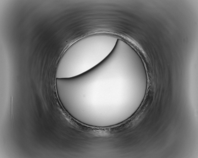 X0000087610937200704271058