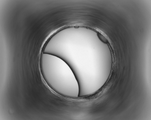 X0000087610941200704271058