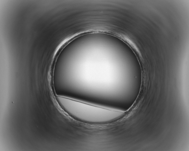 X0000087610944200704271058
