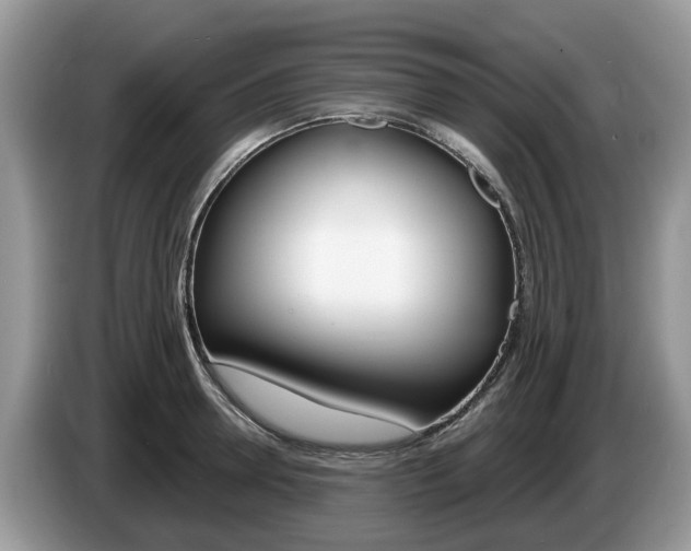 X0000087610946200704271058