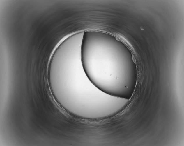 X0000087610948200704271058