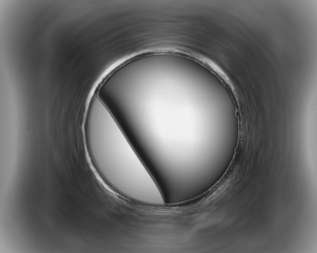 X0000087610951200704271058