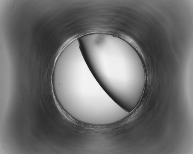X0000087610954200704271058