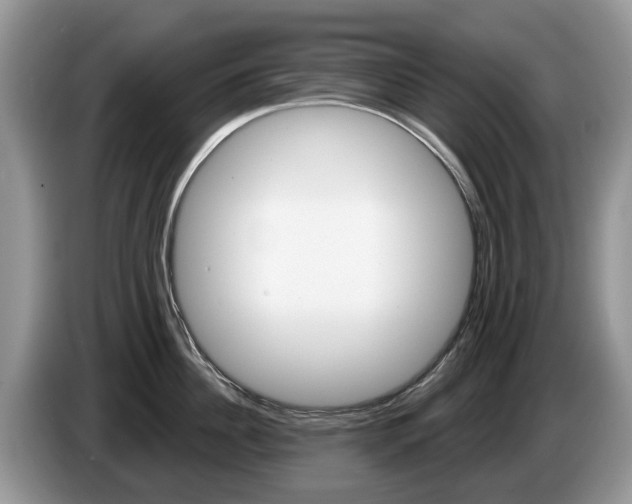 X0000087610956200704271058