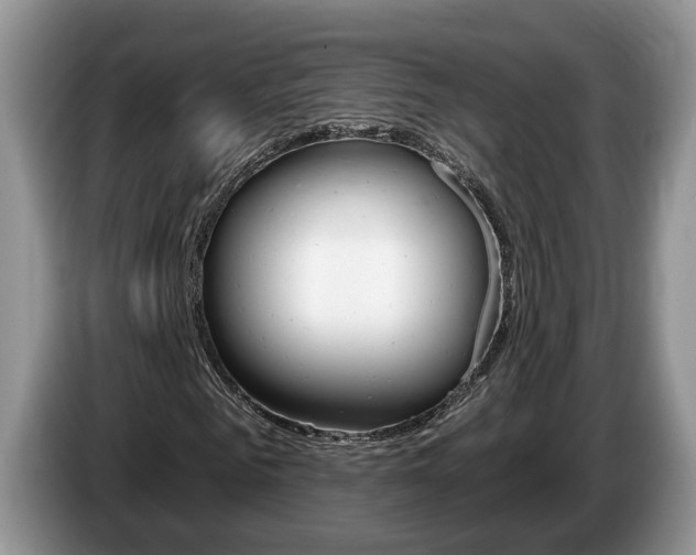 X0000087610961200704271058